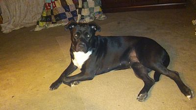 Joe9999 profile photo