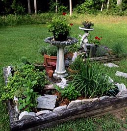 Raven48 profile photo