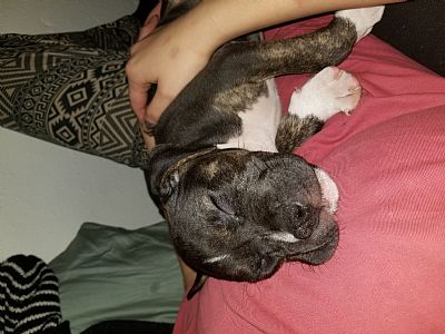 SCHUYWALKER profile photo