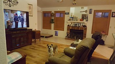 jurnywitme profile photo