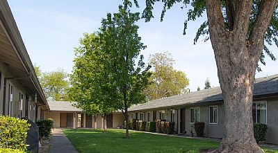 Scottlewis profile photo