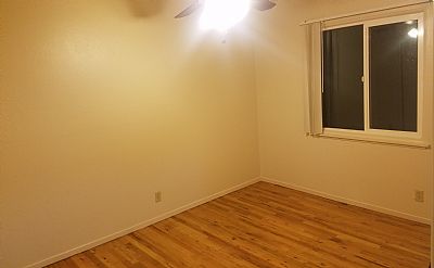 Scottlewis profile photo