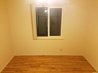 Scottlewis profile photo