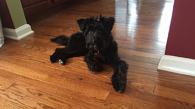 ehleemelee profile photo