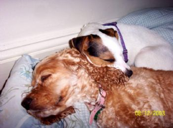 funnygirl profile photo