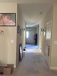 nisha1gupta profile photo