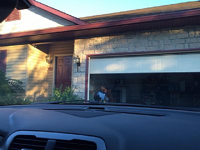 nisha1gupta profile photo