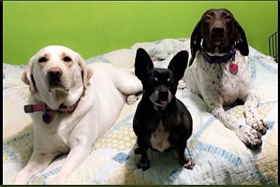 Spuente1121 profile photo