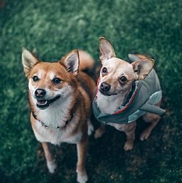 bsmallidge profile photo