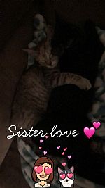 Brittdawn2307 profile photo