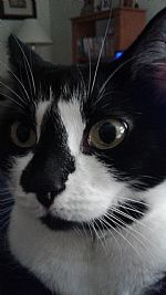 Cindlee76 profile photo