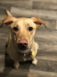 Sahara.winder profile photo