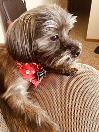 rere22 profile photo