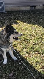 EricaSzk profile photo