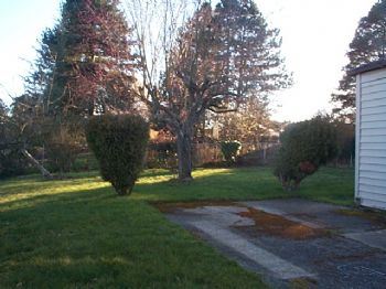 tetmonkey profile photo