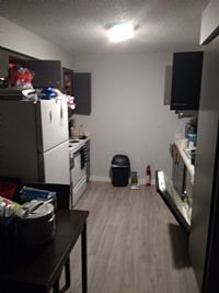 adam.fred profile photo