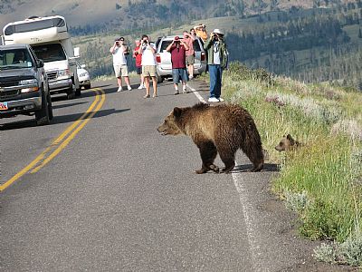 JohnHauss profile photo