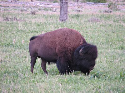 JohnHauss profile photo