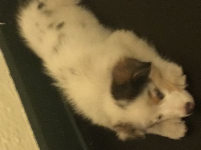 jupitercassie profile photo