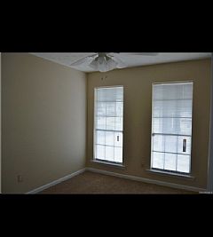 Raineydeer profile photo