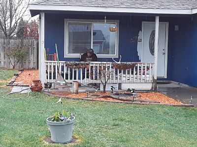 Moosey1 profile photo