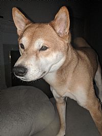 rkwhit profile photo