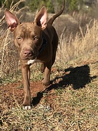 Maddieprescott profile photo