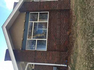 purplepancake profile photo