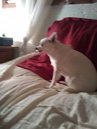 Khloe2016 profile photo