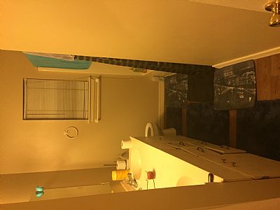 Matt8864 profile photo