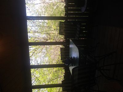 MissReesie profile photo