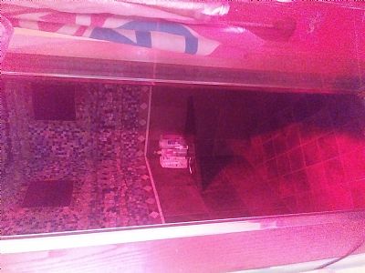 MissReesie profile photo