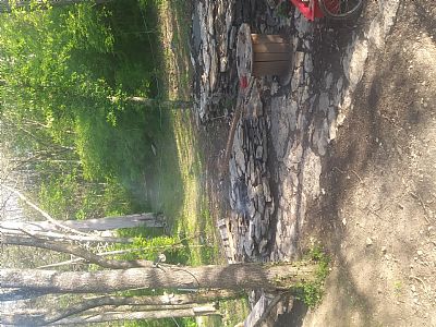 MissReesie profile photo