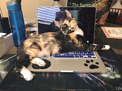 Cares21 profile photo