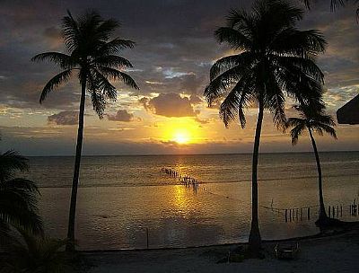 MARCO1234 profile photo