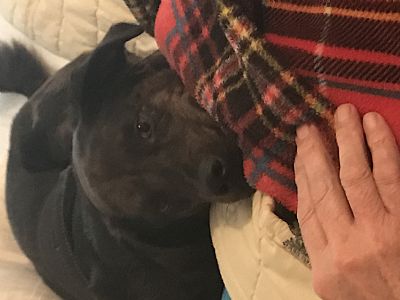 Cherokeegirl profile photo