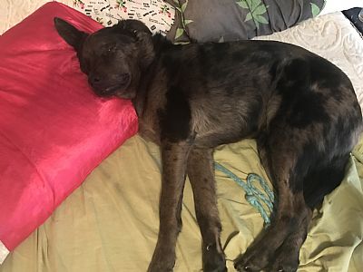 Cherokeegirl profile photo