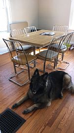 lmglynn profile photo