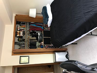 jhogan1 profile photo