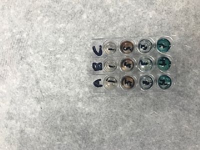 all4God profile photo