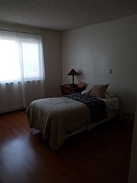 Truelight145 profile photo