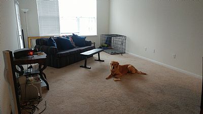 redballoons17 profile photo