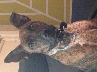 michelle.nguyen profile photo