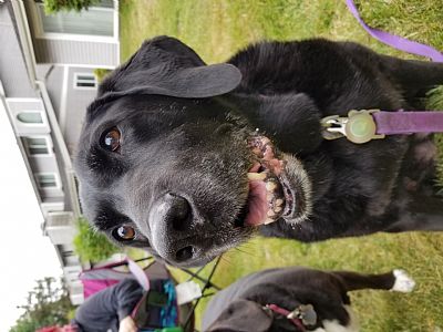 samanthajevans profile photo