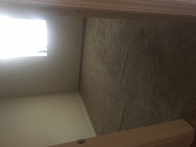 Apis23 profile photo