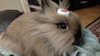 JohnAndAnna profile photo