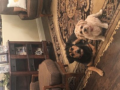 Jodival73 profile photo