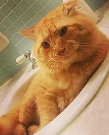 Miranda Mae profile photo