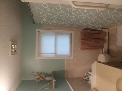 Freetobe profile photo