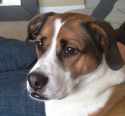 michael2954 profile photo